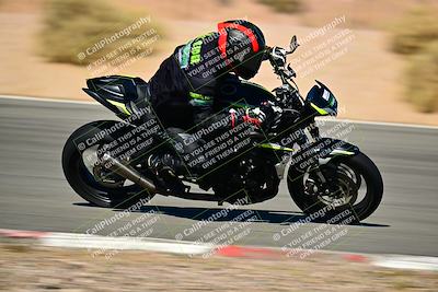 media/Oct-24-2025-2WTD (Fri) [[491f36c2bf]]/C Group/Session 4 (Turn 7)/